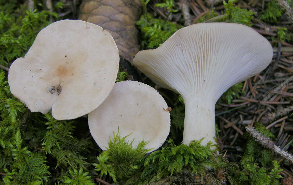 Alcuni ritrovamenti.